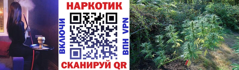 Виды наркоты Кириллов APVP  LSD-25  ГАШИШ  Бошки Шишки  Мефедрон 