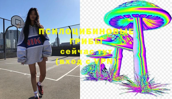 а пвп мука Богородск