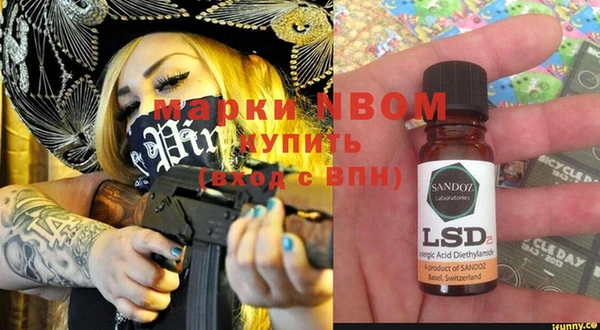 сатива Богородицк