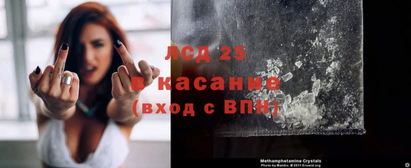 эйфоретик Богданович