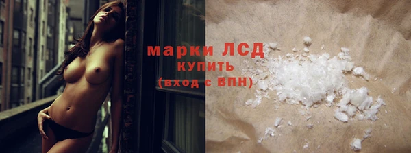 эйфоретик Богданович