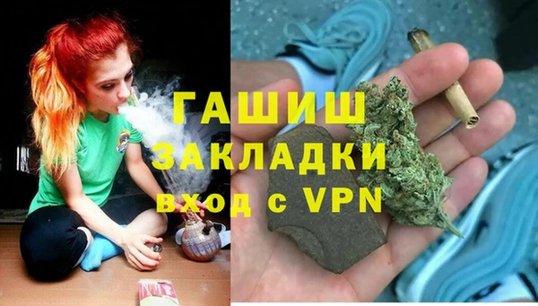 сатива Богородицк