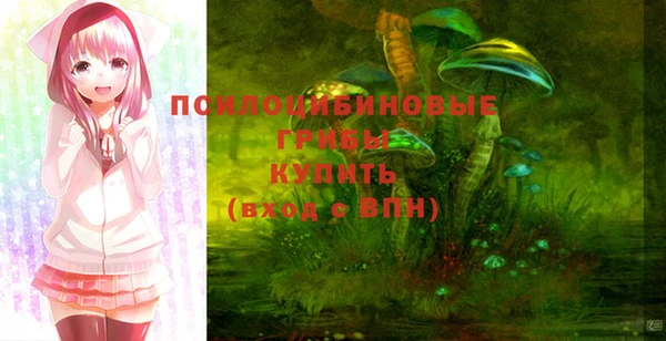 эйфоретик Богданович